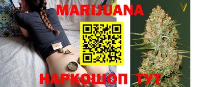 гашик Моздок
