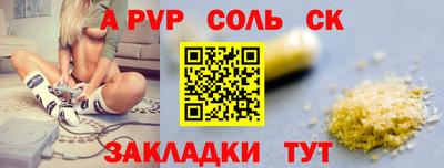 гашик Моздок