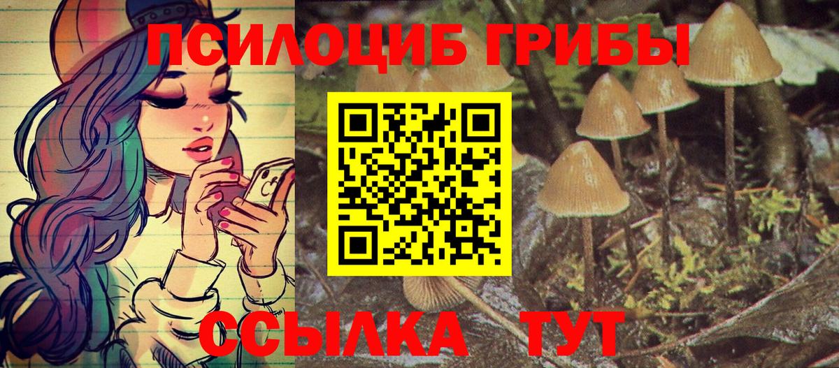 Бузулук  Галлюциногенные грибы Cubensis  Вход с VPN  Псилоцибиновые грибы Magic Shrooms 