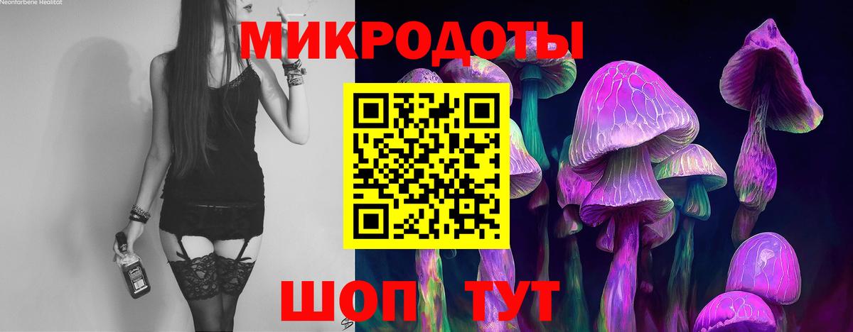 Галлюциногенные грибы мухоморы Бузулук